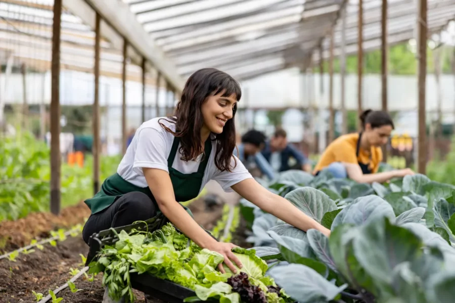 Agricolture worker