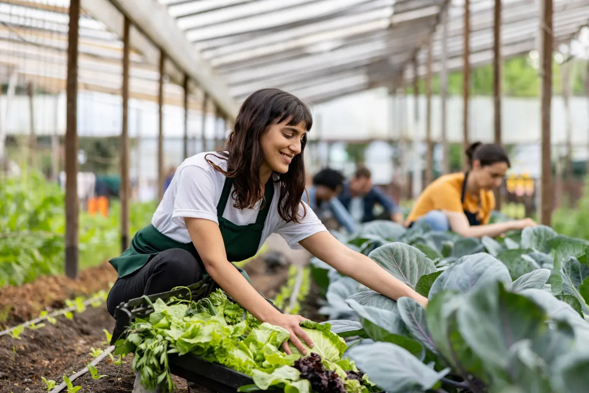 Agricolture worker